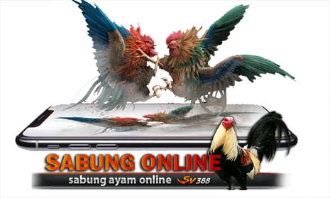 Situs Sabung Ayam Online 24 Jam Agen Judi Sv388 Terpercaya